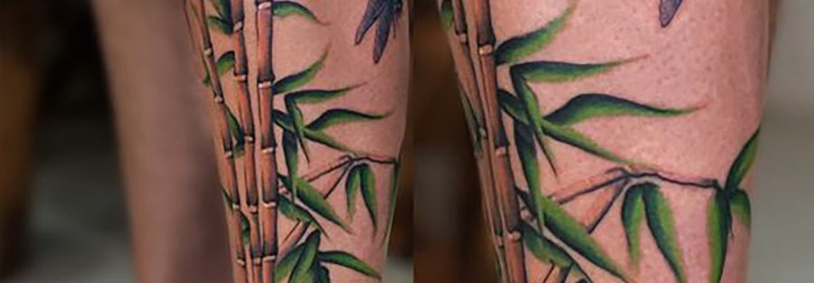 Bamboo with Dragonfly Tattoo